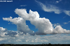 Cumulus Congestus - 10 septembre 2005 - Mini